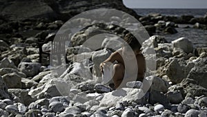 A little boy is playing with rocks on the beach. Creative. A child sitting next to the sea who is playing with pebbles.