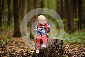 Little boy playing on wooden stump during stroll in the forest