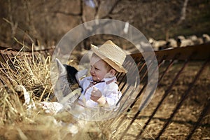 The little boy plays with the goatling in hay