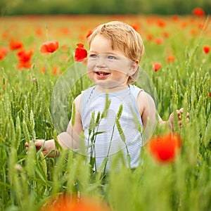 Little boy in poppy field