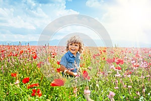 Little boy in poppy field