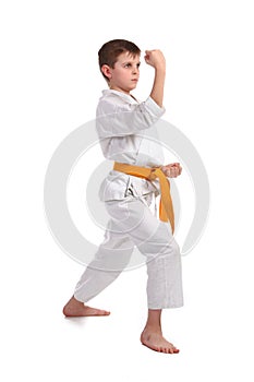 Little boy practice karate