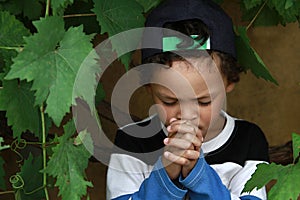 Little boy praying to God with hands held together stock photo