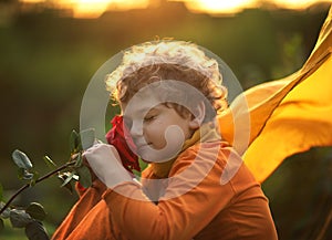 A little boy, a prince, sits with a rose flower at sunset