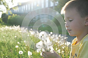 Little boy profile blowing dandelion flower at summer. Happy smiling child enjoying nature in park