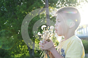 Little boy profile blowing dandelion flower at summer. Happy smiling child enjoying nature in park