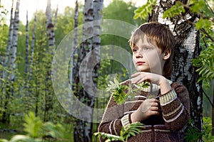 Little boy protect a birch branch