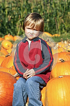 Little Boy at Pumpkin Patch