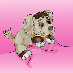 Little boy puppy and pink background