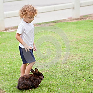 Little boy with rabbit