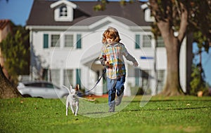Little Boy Racing the Dog. Lovely Child with Puppy Walking Outdoor.