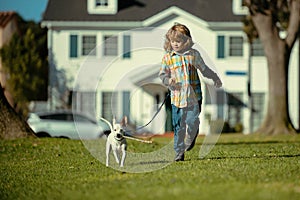 Little Boy Racing the Dog. Lovely Child with Puppy Walking Outdoor.