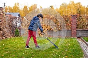 Little boy with a rake cleaning fallen leaves in the autumn yard garden. Kids do housework concept. Little helper