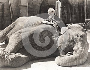 Little boy reading a book on sleeping elephant