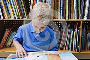 Little Boy Reading A Picture Book