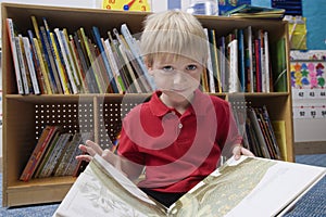 Little Boy Reading Picture Book