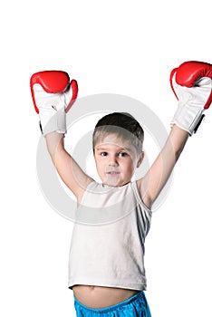 Little boy with red boxing gloves victory posing on white background isolated