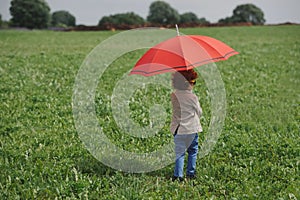 Little boy with red umbrella in summer field