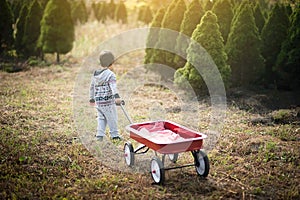 Little boy with red wagon