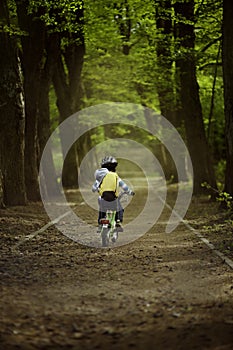 Little boy rides a bicycle in the park. Summer sunny day. Back view.