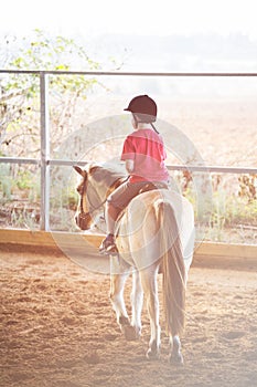 A little boy riding a horse. First lessons of horseback riding