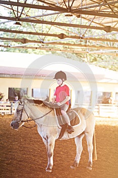 A little boy riding a horse. First lessons of horseback riding