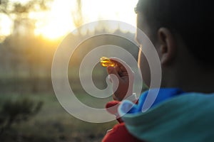 A little boy in rubber boots walks through the forest and explores stones, a mineral. Child looking at rocks.