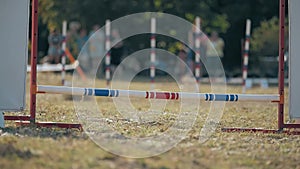 Little boy is running with his dog breed dachshund and jumping over a crossbar taking part in an agility competition in a glade in
