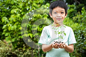 The little boy\'s hands are holding a small tree. Asian boy holding a seedling in his hand.