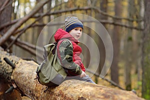 Little boy scout during hiking in autumn forest. Child is sitting on fallen tree. Adventure, scouting and hiking tourism for kids