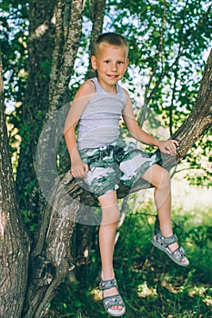 Little boy in shorts sitting up a tree