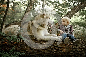 Little boy sits on tree trunk next to lying dog malamute.