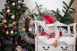 Little boy, sitting on a bench under christmas tree, eating choc