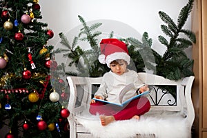 Little boy, sitting on a bench under christmas tree, eating choc