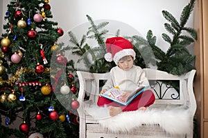 Little boy, sitting on a bench under christmas tree, eating choc