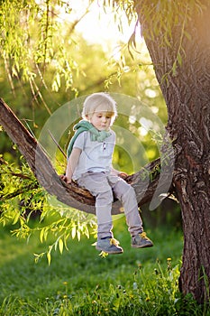 Little boy is sitting on a branch of big tree and is dreaming. Child`s games. Active family time on nature