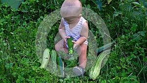 Little boy sitting with zucchini and shifts it