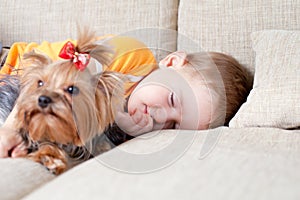 Little boy sleeping and hugging loving dog york