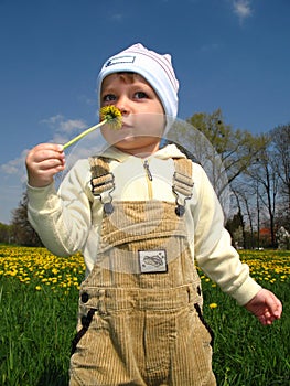 Little boy smell flower