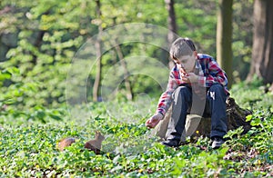 Little boy and squirrel