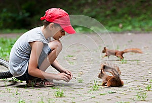 Little boy and squirrels