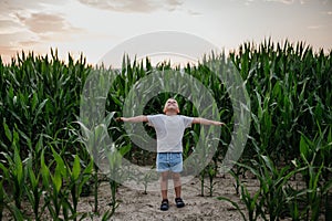 Little boy is standing with arms outspread in the field of corn in summer