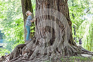 Little boy standing beside a big stump of an old tree. Happy chi