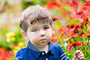 little boy standing in flower garden holds a flower