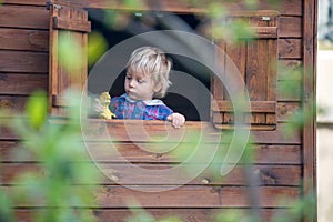 Little boy, standing in the window, playing with dinosaurs in a little wooden kids tree house, blurred tree branches