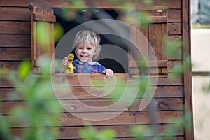 Little boy, standing in the window, playing with dinosaurs in a little wooden kids tree house, blurred tree branches