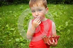 Little boy stands and eats strawberries in summer photo