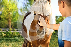 Little boy stroking cute pony outdoors on sunny day, closeup