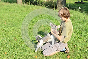 Little boy stroking a dog