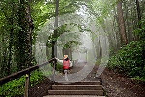 Little boy during stroll in foggy misterious park